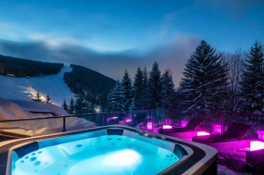 Гостиница Pytloun Wellness Hotel Harrachov  Гаррахов